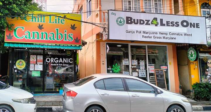 Two side-by-side cannabis shops on Koh Samui, the kind of walk-in dispensary that living in Thailand expats see everywhere and that the medical-only Thailand cannabis bill would phase out by 2028.